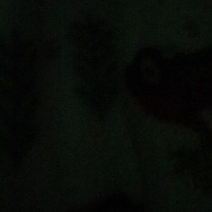 Meet your Posher, Ruth